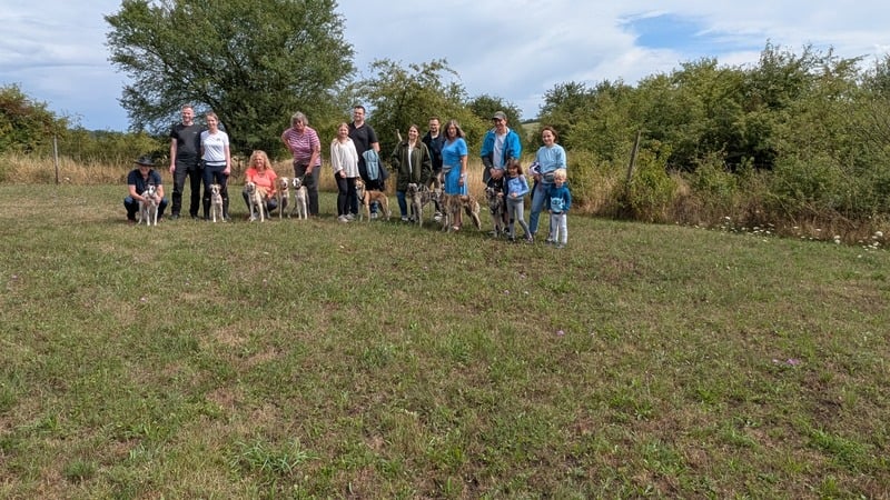 Welpentreffen im Juli 2025