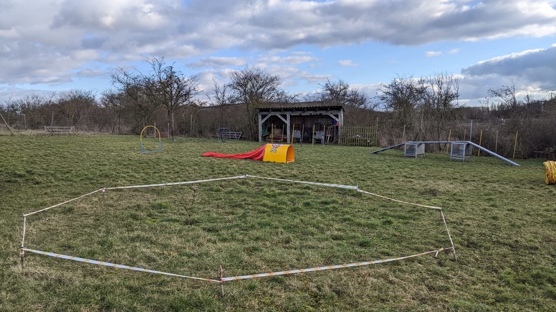 Gerätetraining mit Hunden